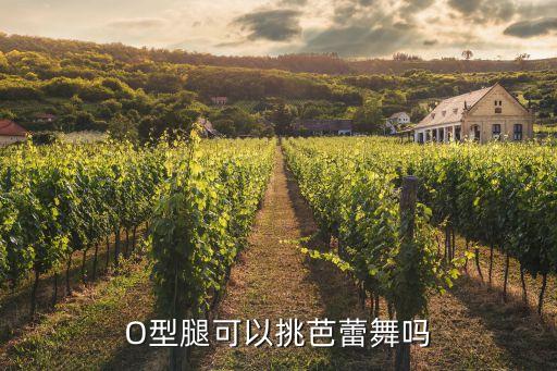 改变o型腿练什么舞蹈，O型腿可以练习舞蹈吗