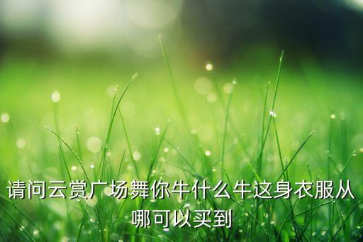 请问云赏广场舞你牛什么牛这身衣服从哪可以买到