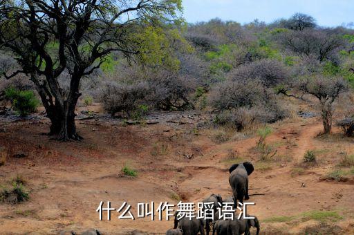 什么是舞蹈语汇，舞剧罗密欧与朱丽叶舞蹈语汇是什么