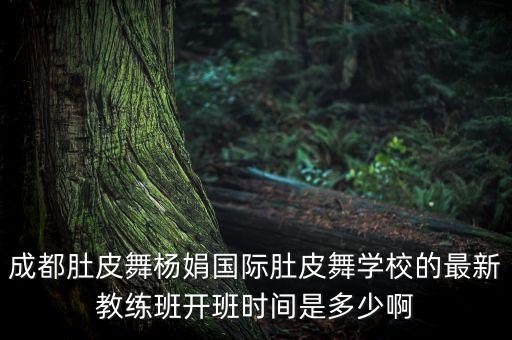 成都肚皮舞杨娟国际肚皮舞学校的最新教练班开班时间是多少啊