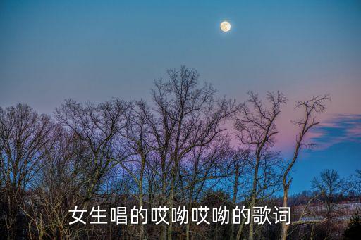 你傻你傻你傻不傻是什么歌曲歌词，我和你修来修去修来修去是什么歌