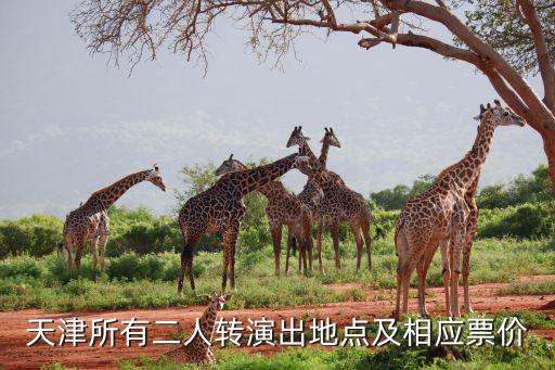 金州哪里有二人转，金州解放广场二人转剧场现在搬到什么地方