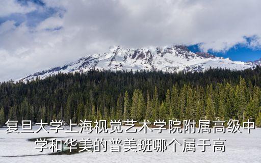 上海视觉艺术附中好吗，复旦大学上海视觉艺术学院附属高级中学入取分数线是几分
