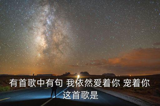 有首歌中有句 我依然爱着你 宠着你 这首歌是