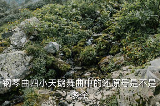钢琴曲四小天鹅舞曲中的还原号是不是多余