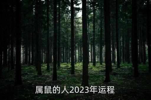 属鼠的人2023年运程