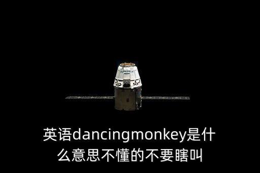 英语dancingmonkey是什么意思不懂的不要瞎叫