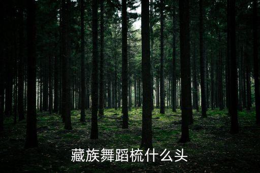 藏族舞蹈梳什么头