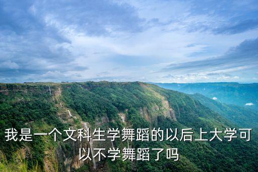 舞蹈专业考的大学必须学舞蹈吗，我是一个文科生学舞蹈的以后上大学可以不学舞蹈了吗