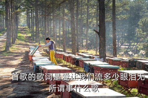 一首歌的歌词是爱让我们流多少眼泪无所谓事什么歌