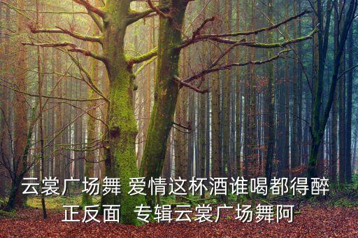 云裳广场舞 爱情这杯酒谁喝都得醉 正反面  专辑云裳广场舞阿