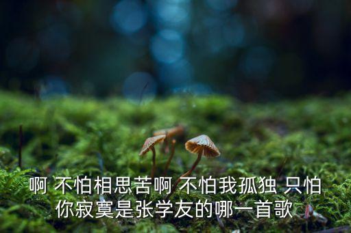 对你爱爱爱过几秋是什么哥，啊 不怕相思苦啊 不怕我孤独 只怕你寂寞是张学友的哪一首歌