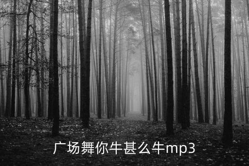 广场舞你牛甚么牛mp3