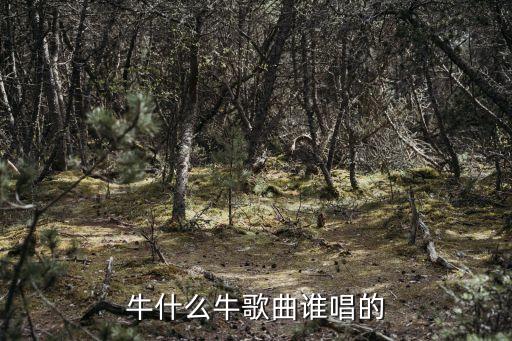 牛什么牛歌曲谁唱的