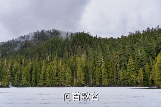 漫山的野花开呀 什么歌，漫山遍野花儿开 歌从天边飘过来是什么歌的歌词