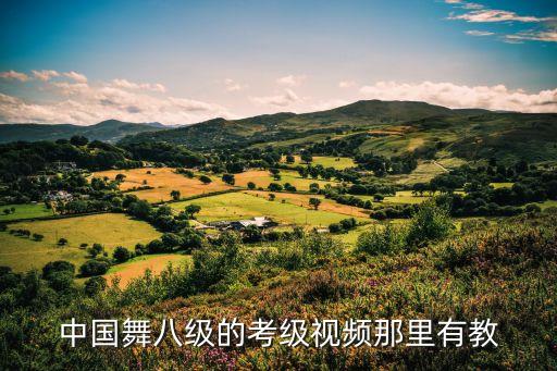 中国舞八级的考级视频那里有教