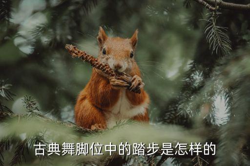 古典舞脚位中的踏步是怎样的