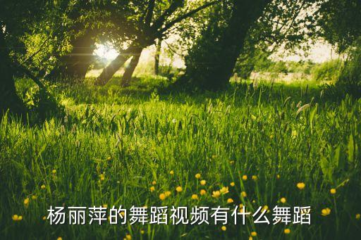 杨丽萍的舞蹈视频有什么舞蹈