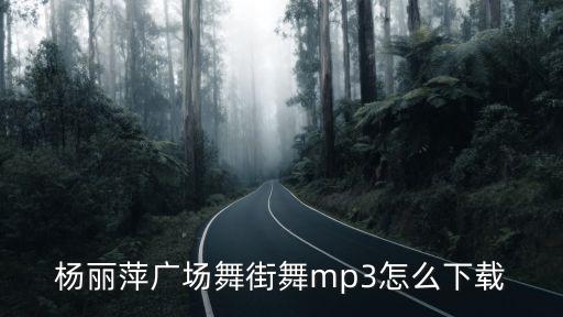 杨丽萍广场舞街舞mp3怎么下载