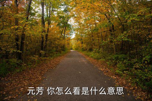 元芳 你怎么看是什么意思