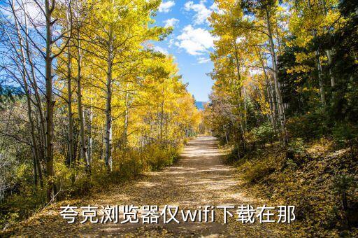 夸克浏览器仅wifi下载在那