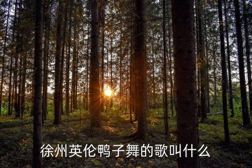 赶鸭子舞是什么曲，徐州英伦鸭子舞的歌叫什么