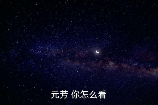 元芳 你怎么看
