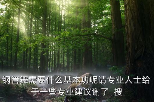 钢管舞需要什么基本功呢请专业人士给于一些专业建议谢了  搜