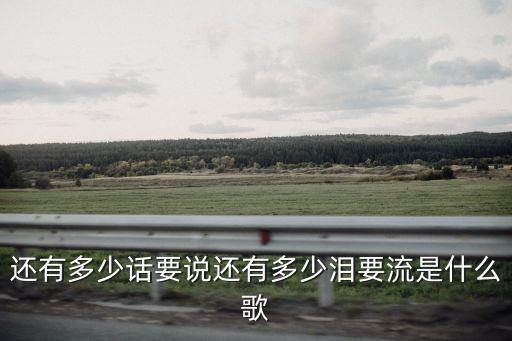 还有多少话要说还有多少泪要流是什么歌