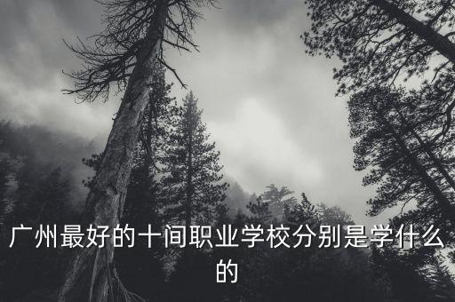 广州职业高中前十名学校，广州好的职中