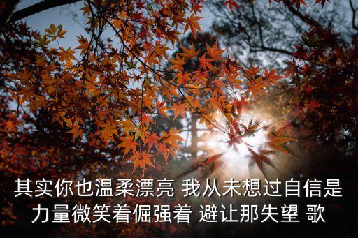 其实你也温柔漂亮 我从未想过自信是力量微笑着倔强着 避让那失望 歌