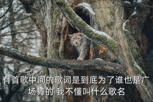 广场舞我的歌是什么歌，有首歌中间的歌词是到底为了谁也是广场舞的 我不懂叫什么歌名