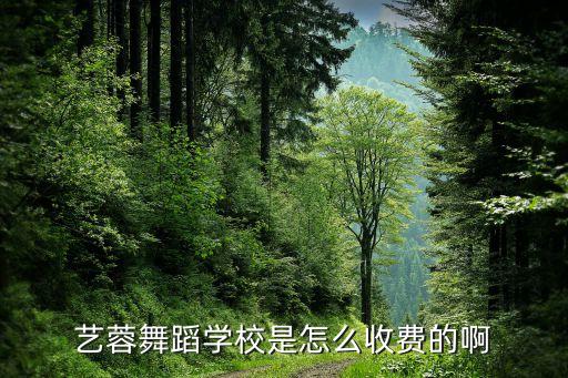 艺蓉舞蹈学校是怎么收费的啊