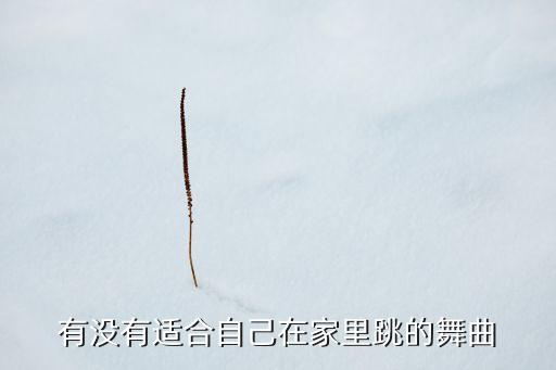 在家适合跳什么舞，有没有适合自己在家里跳的舞曲