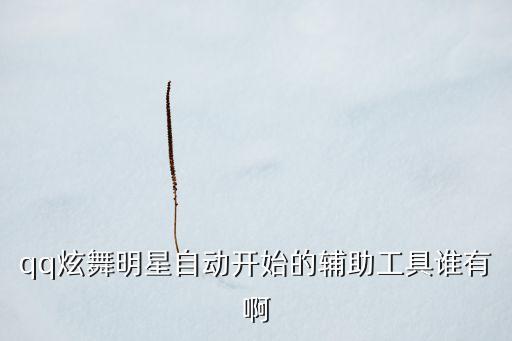 qq炫舞明星自动开始的辅助工具谁有啊