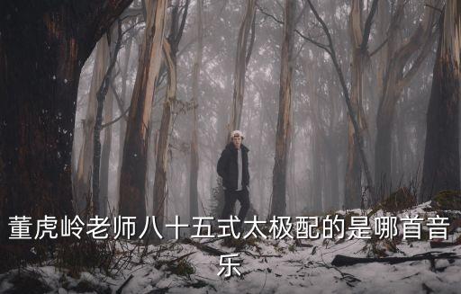 董虎岭老师八十五式太极配的是哪首音乐