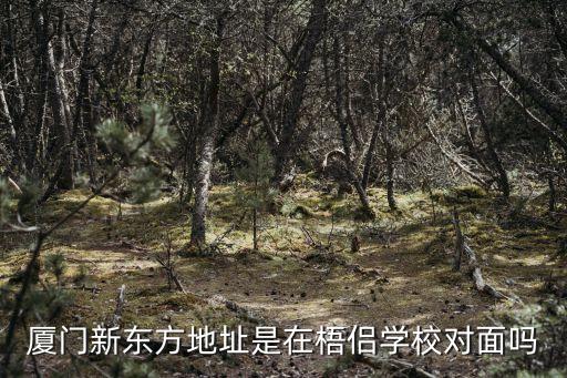 厦门新东方地址是在梧侣学校对面吗