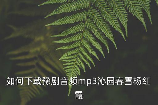 女人怎么了沁园春雪舞曲下载，SOLAM索浪SL054G车载MP3播放器怎样下载歌曲