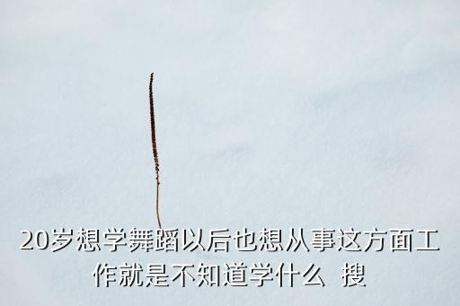 20岁想学舞蹈以后也想从事这方面工作就是不知道学什么  搜
