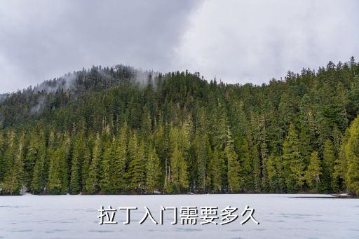 拉丁入门需要多久