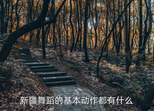 舞蹈主题动作是什么，新疆舞蹈的基本动作都有什么