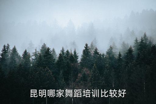 昆明哪家舞蹈培训比较好