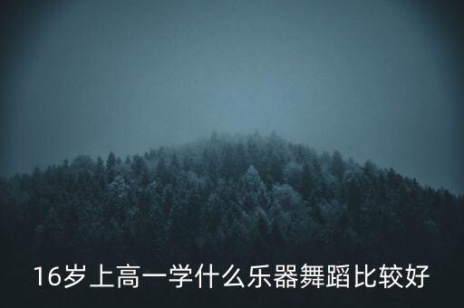 16岁上高一学什么乐器舞蹈比较好