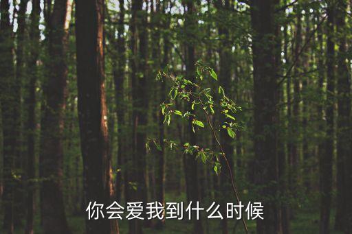 你会爱我到什么时候
