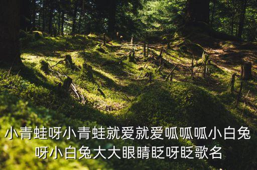 小青蛙呀小青蛙就爱就爱呱呱呱小白兔呀小白兔大大眼睛眨呀眨歌名