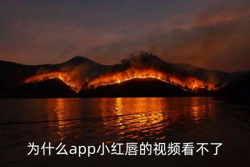 为什么app小红唇的视频看不了