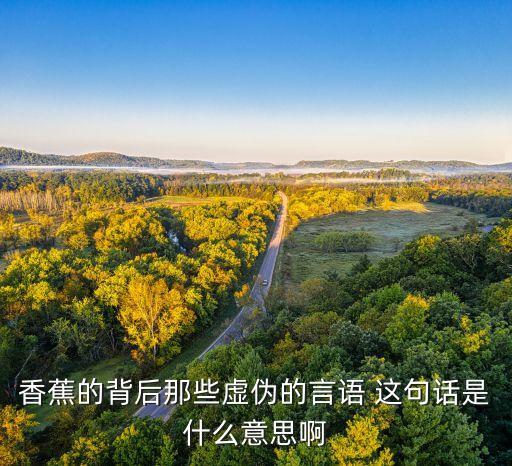 大叔不卖我香蕉什么意思，香蕉的背后那些虚伪的言语 这句话是什么意思啊