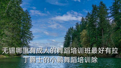 无锡哪里有成人的舞蹈培训班最好有拉丁爵士的小鹂舞蹈培训除