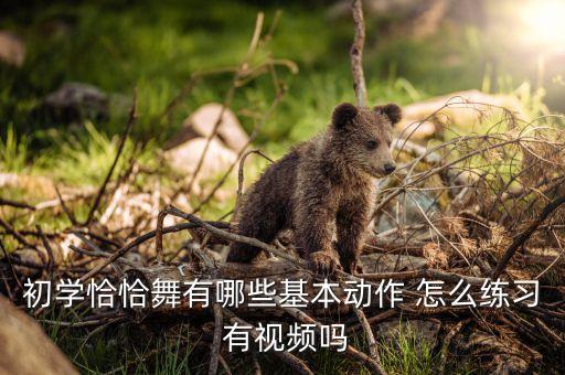 初学恰恰舞有哪些基本动作 怎么练习 有视频吗