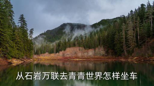 青青世界舞蹈完整版视频，从新洲村做M347到青青世界在哪个站下